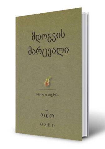 სურათი მდოგვის მარცვალი